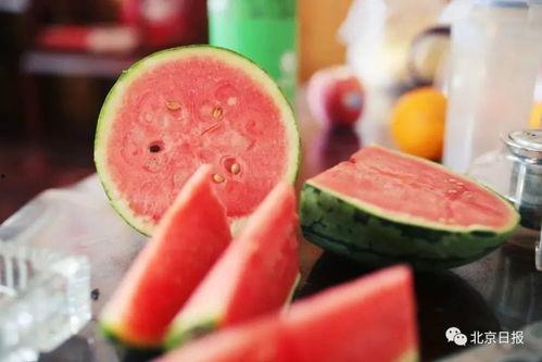 朝堂吃瓜第24集免费观看,宫廷秘闻大揭秘，免费观看精彩不容错过